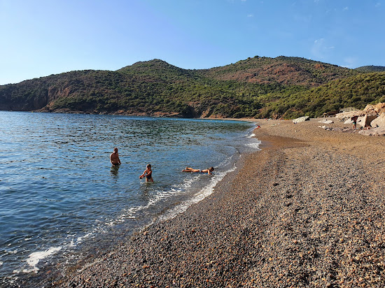 Plage de Bussaglia