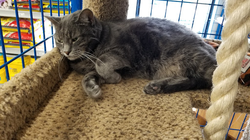 Pet Supply Store «Chow Hound Pet Supplies», reviews and photos, 5811 Byron Center Ave SW, Wyoming, MI 49519, USA