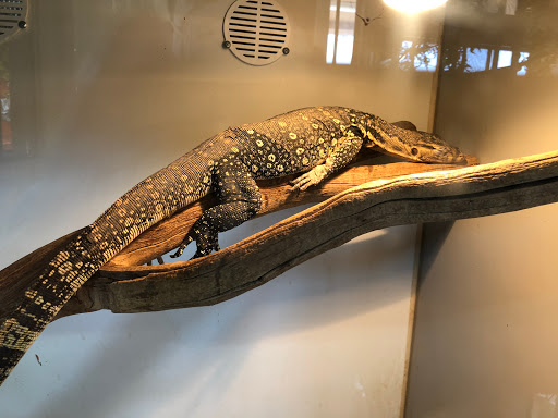 Reptile Store «La Habra Pets», reviews and photos, 1919 W La Habra Blvd, La Habra, CA 90631, USA