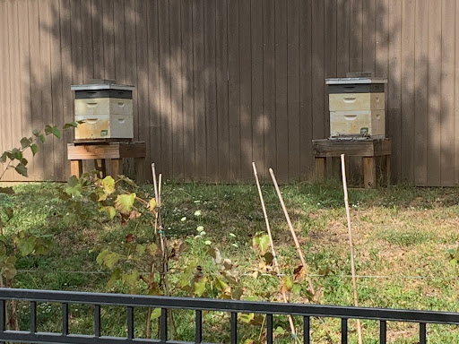 Botanical Garden «Botanical Gardens-Heritage Pk», reviews and photos, 411 Ball St, Grapevine, TX 76051, USA