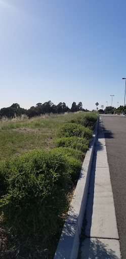 California State University, East Bay image
