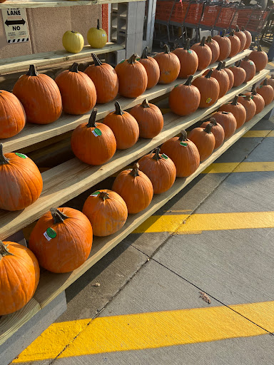 Home Improvement Store «The Home Depot», reviews and photos, 6607 Calhoun Memorial Hwy, Easley, SC 29640, USA