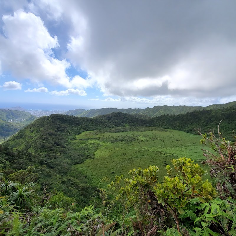 Honolulu Watershed Forest Reserve