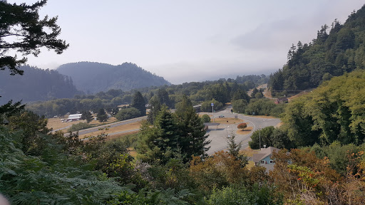 Tourist Attraction «Klamath Tour Thru Tree», reviews and photos, 430 California 169, Klamath, CA 95548, USA