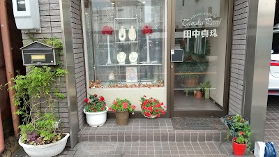 田中真珠