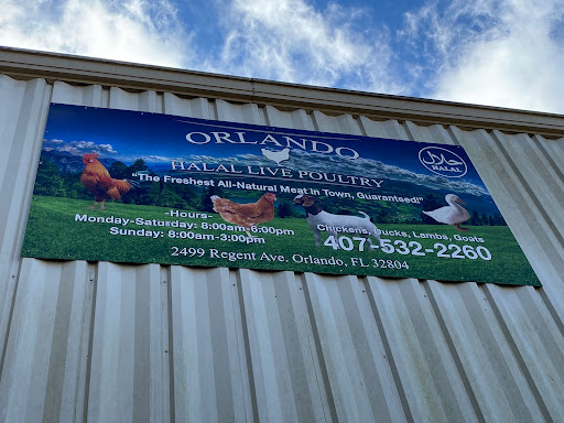 Poultry Farm «Orlando Live Poultry», reviews and photos, 2499 Regent Ave, Orlando, FL 32804, USA