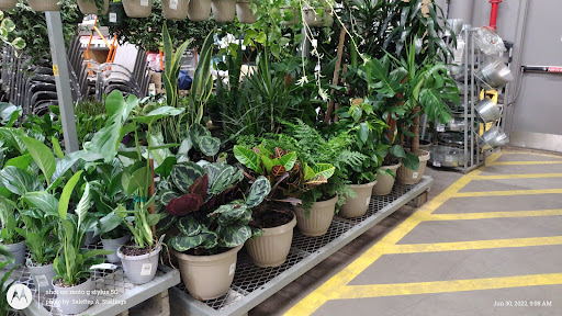 Home Improvement Store «The Home Depot», reviews and photos, 601 Woollomes Ave, Delano, CA 93215, USA