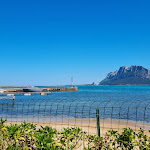 Photo n°6 de l'avis de Alex.' fait le 22/04/2022 à 13:01 sur le  Ristorante Il Portolano à Porto San Paolo