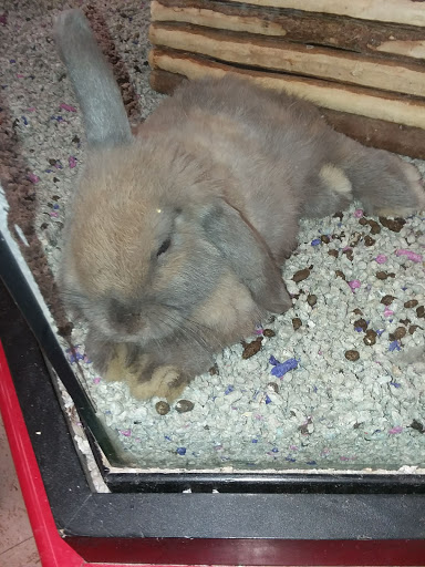 Pet Store «Pet Stop», reviews and photos, 6218 Nieman Rd, Shawnee, KS 66203, USA