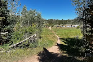 Happy Jack Recreation Area Trailhead image