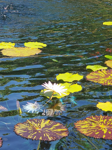 Performing Arts Theater «Barbara B. Mann Performing Arts Hall», reviews and photos, 13350 FSW Pkwy, Fort Myers, FL 33919, USA