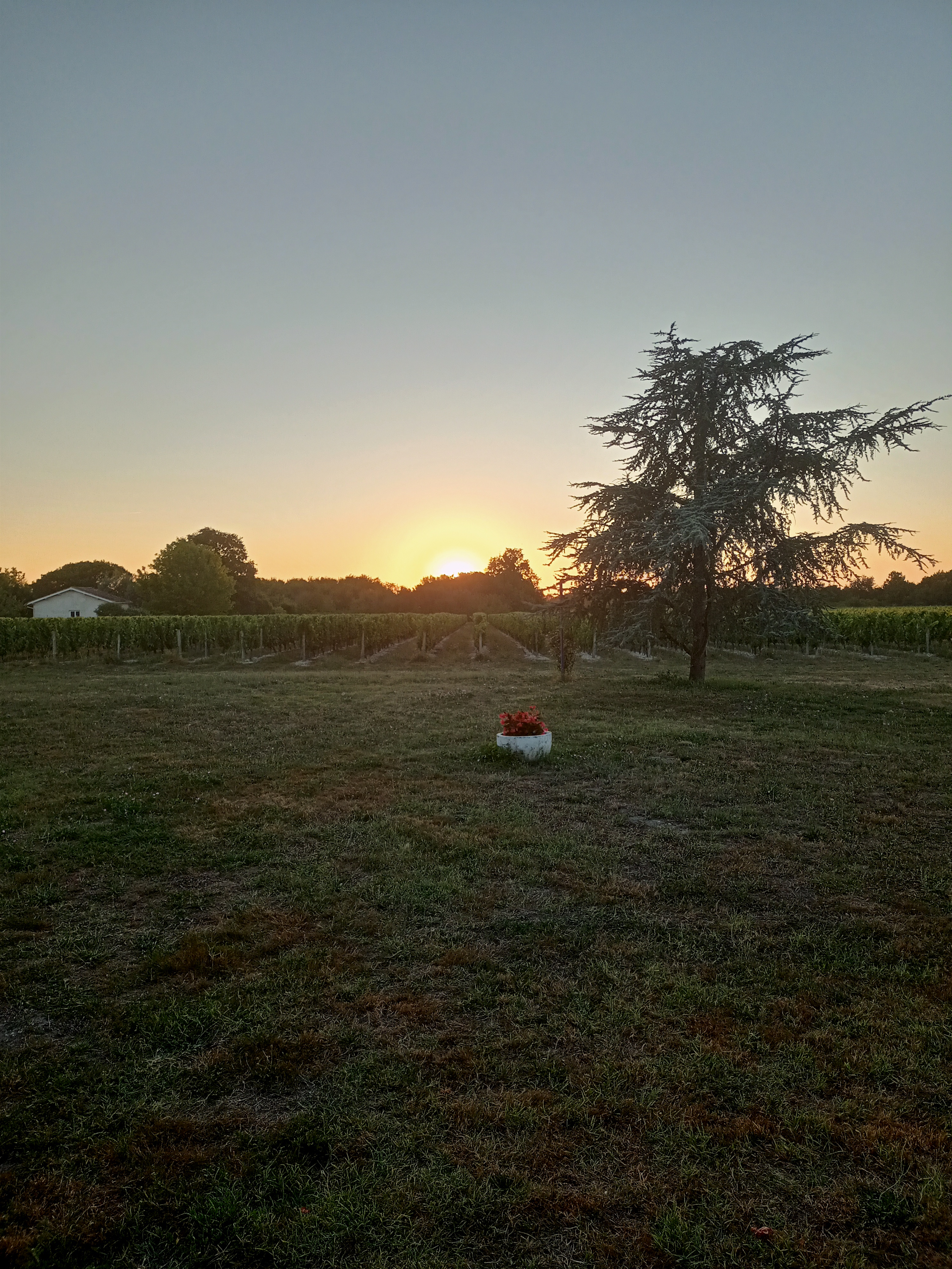 Photo n° 1 de l'avis de Antoine.o fait le 26/07/2022 à 09:45