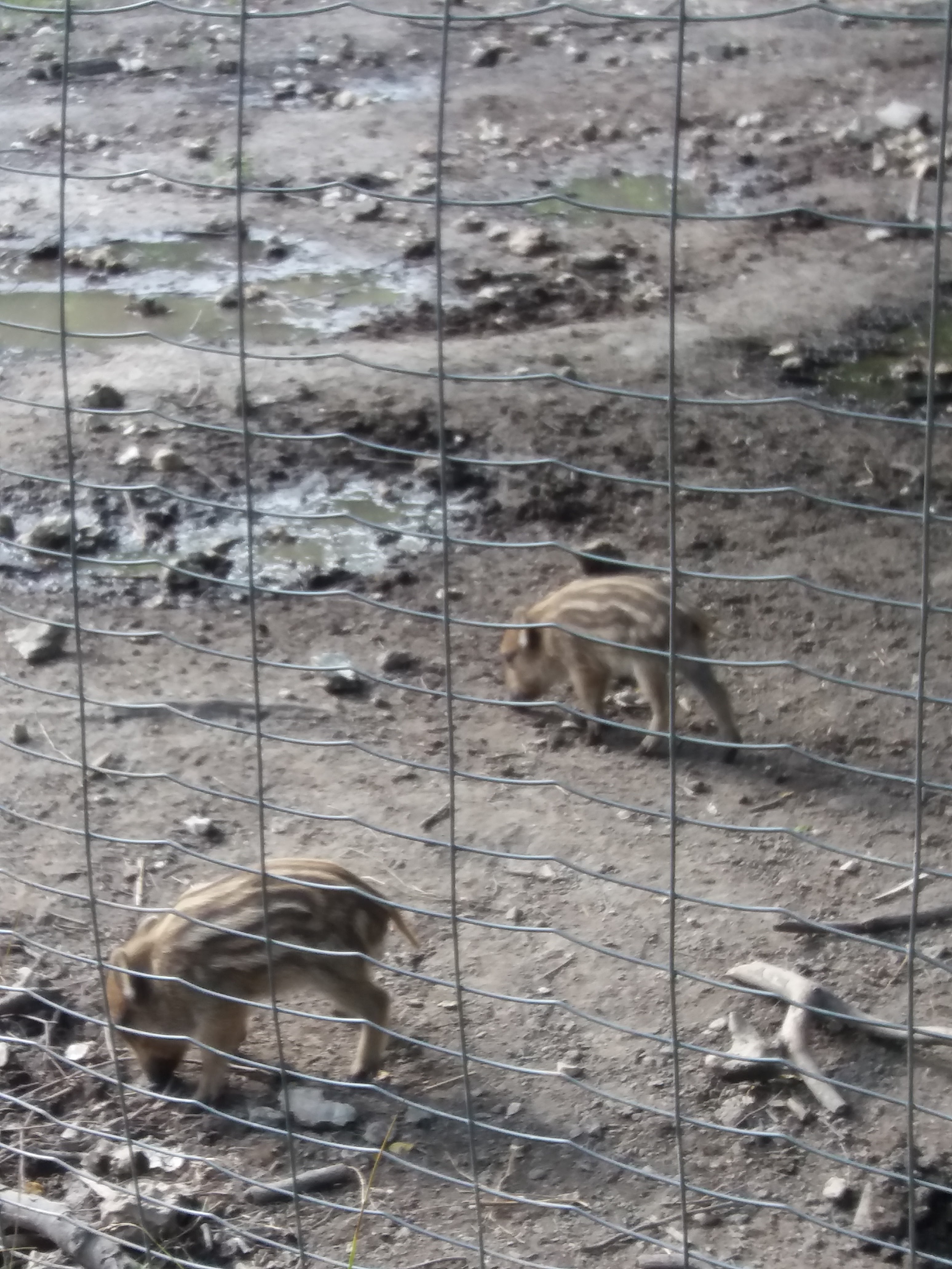 Photo n° 3 de l'avis de Mili.i fait le 18/08/2019 à 17:52