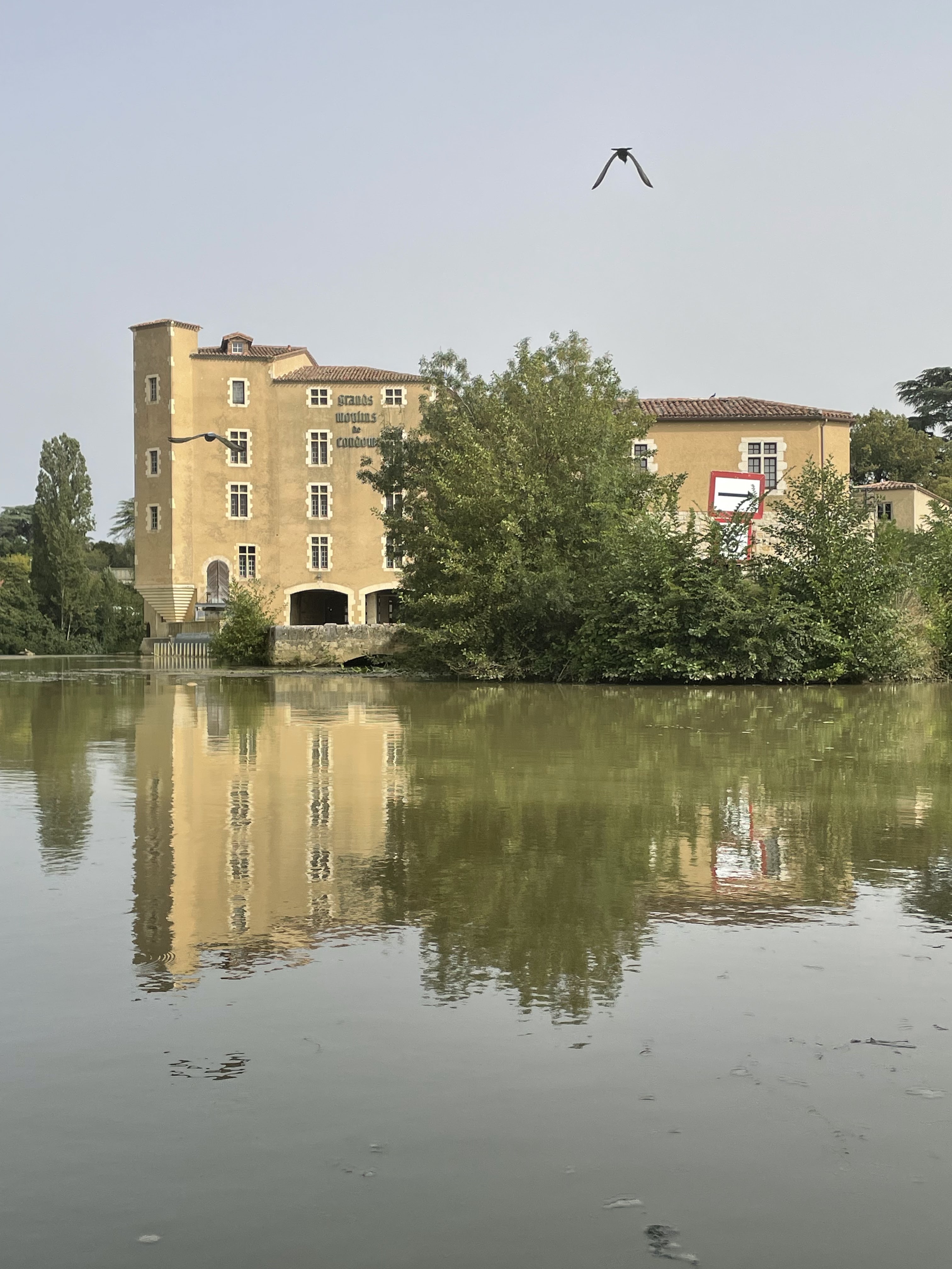 Photo n° 2 de l'avis de seve.. fait le 09/09/2023 à 22:02