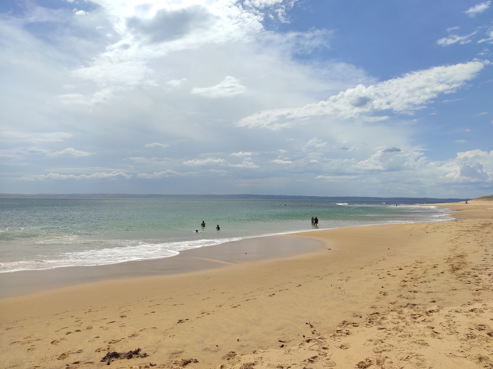 Foto av Flynns Beach - populär plats bland avkopplingskännare