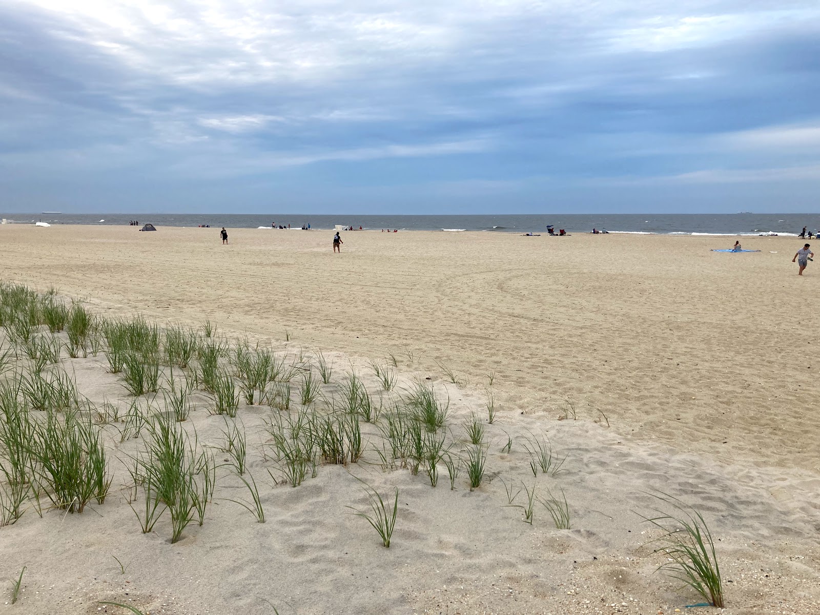 Valokuva Sandy hook beachista. villi alue