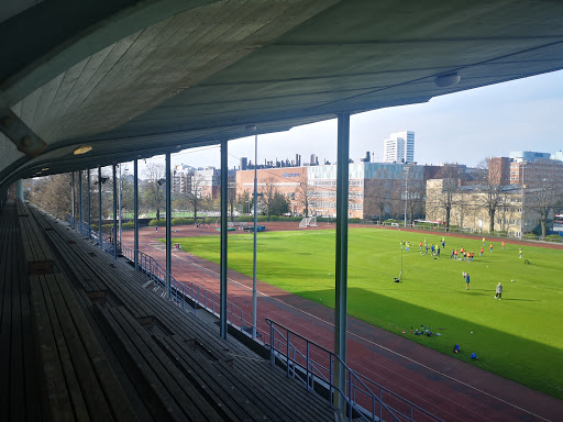 Kristinebergs idrottsplats
