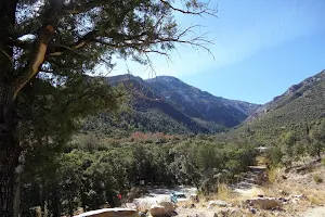 Miller Canyon Recreation Area image