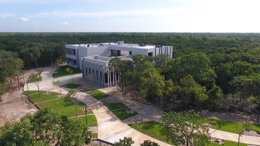 Universidad Politécnica de Yucatán