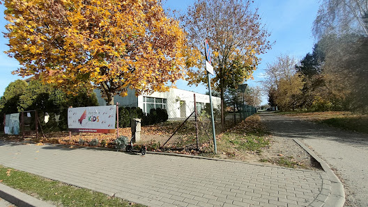Szkoła Podstawowa nr 4 im Wandy Chotomskiej Styczniowa 7, 46-320 Praszka, Polska