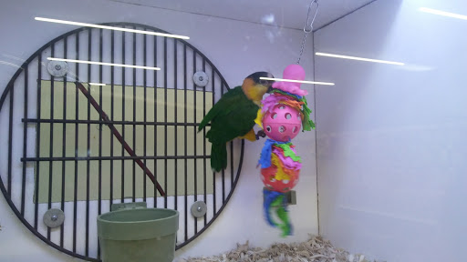 Pet Store «Fins Feathers Paws Claws», reviews and photos, 201 Station Rd, Quakertown, PA 18951, USA