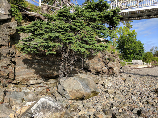 Hotel «Atlantic Oceanside Hotel & Event Center», reviews and photos, 119 Eden St, Bar Harbor, ME 04609, USA