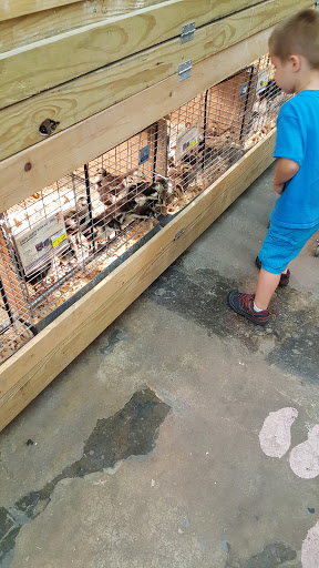 Hardware Store «Buchheit of House Springs», reviews and photos, 4550 Gravois Rd, House Springs, MO 63051, USA