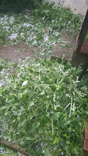 Plumber «Hugo Plumbing & Pump Services», reviews and photos, 9600 180th St N, Forest Lake, MN 55025, USA