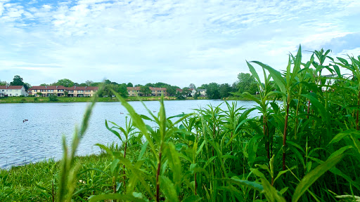 Park «Spring Lake Park», reviews and photos, 396 Springlake Ln, Aurora, IL 60504, USA