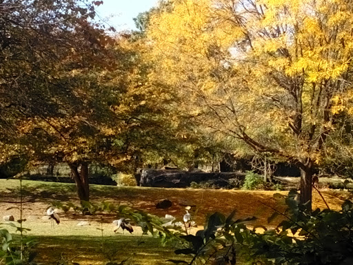 Zoo «Bronx Zoo», reviews and photos, 2300 Southern Blvd, Bronx, NY 10460, USA