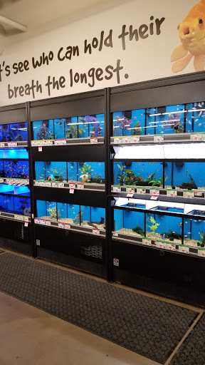 Pet Supply Store «Pet Supplies Plus», reviews and photos, 1030 Main St #10, Waltham, MA 02451, USA