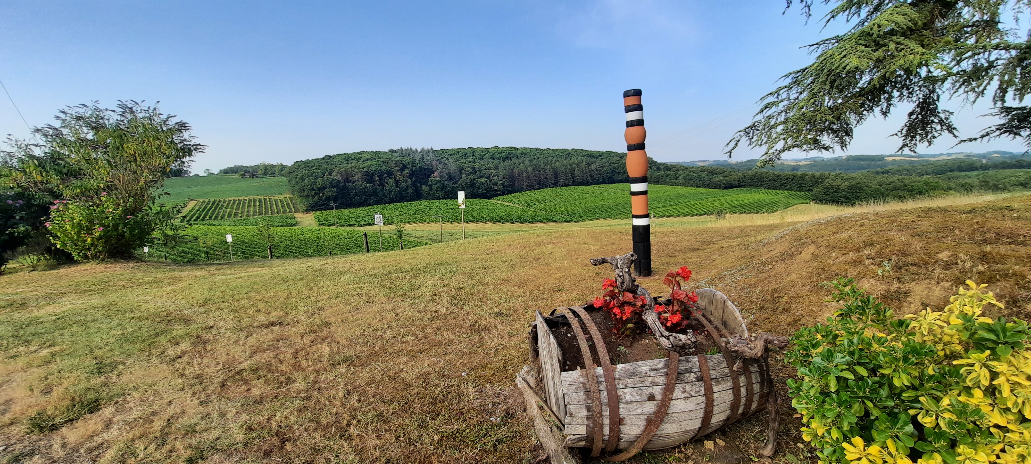Photo n° 2 de l'avis de aude.o fait le 22/07/2020 à 08:53