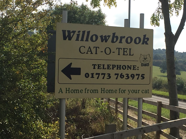 Willow Brook Cat-o-Tel - Nottingham