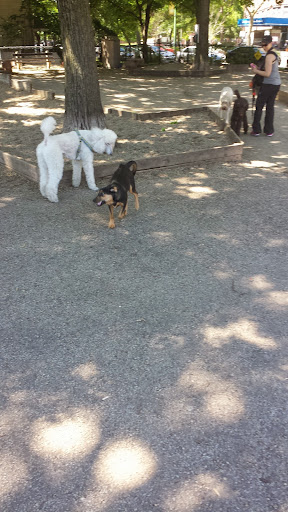 Dog Park «Wiggly Field Dog Friendly Area», reviews and photos, 2645 N Sheffield Ave, Chicago, IL 60614, USA