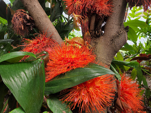 Zoo «Mesker Park Zoo», reviews and photos, 1545 Mesker Park Dr, Evansville, IN 47720, USA