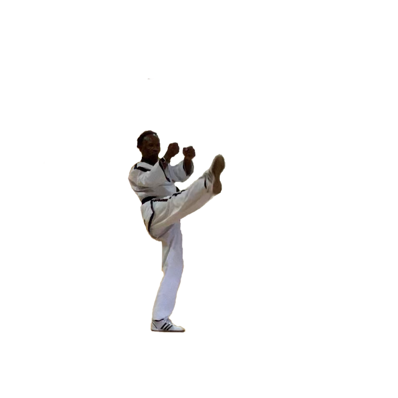 Handsworth Wood Taekwondo