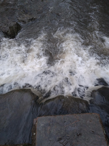 Park «Boyle Park», reviews and photos, 2000 Boyle Park Rd, Little Rock, AR 72204, USA