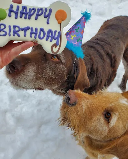 Pet Supply Store «Ma & Paws Bakery», reviews and photos, 1227 E 3300 S, Millcreek, UT 84106, USA