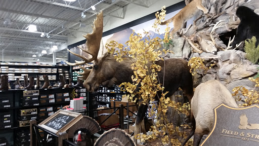 Outdoor Sports Store «Field & Stream», reviews and photos, 870 Walt Whitman Rd Ste B, Melville, NY 11747, USA