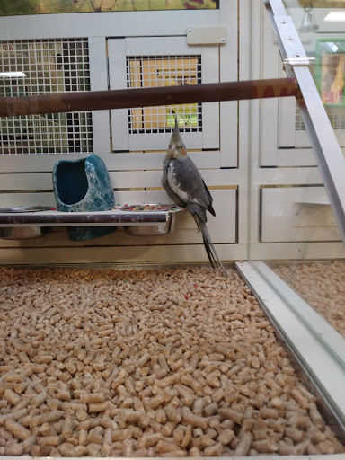 Pet Supply Store «PetSmart», reviews and photos, 1110 Hospitality Dr, Rock Hill, SC 29730, USA