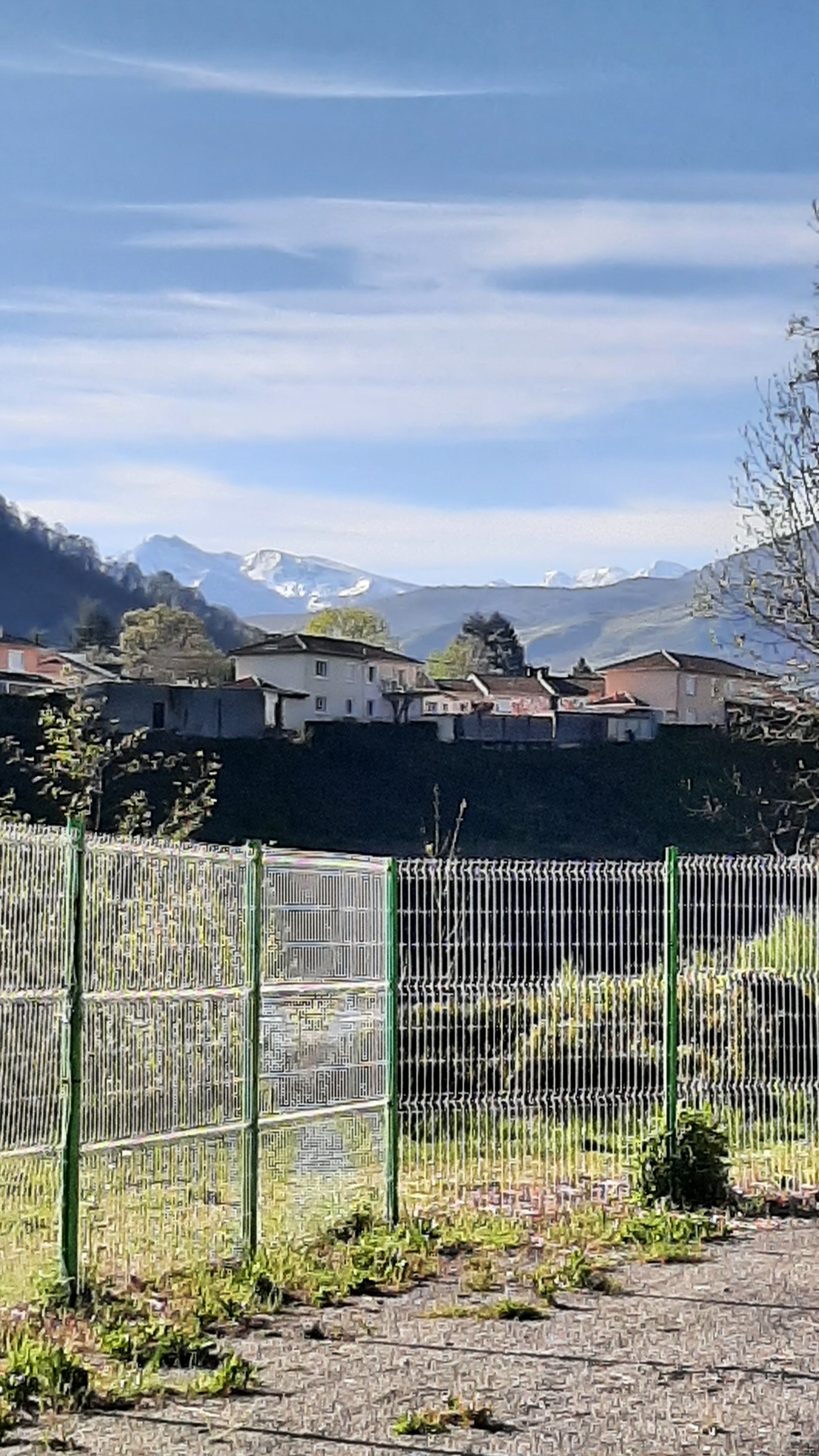 Photo n° 2 de l'avis de Raymond.e fait le 19/04/2023 à 14:38