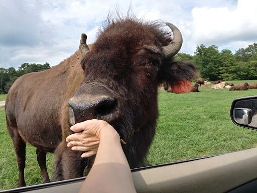 Restaurant «Hidden Valley Animal Adventure», reviews and photos, 2887 Royce Rd, Varysburg, NY 14167, USA