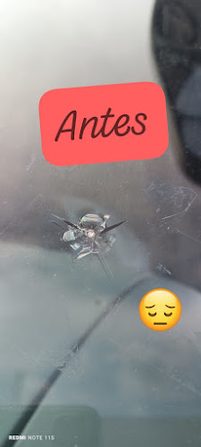 vidrio arreglos la mona