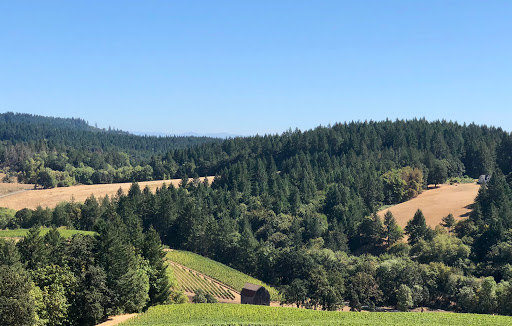 Winery «Colene Clemens Vineyards», reviews and photos, 22501 NE Dopp Rd, Newberg, OR 97132, USA