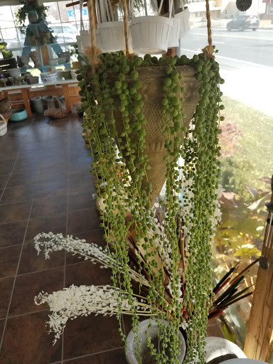 Florist «Winchester Floral», reviews and photos, 1939 Valley Ave, Winchester, VA 22601, USA