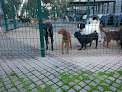 Casa dos Animais de Lisboa