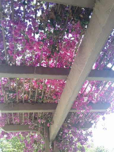 Pet Supply Store «PetSmart», reviews and photos, 1621 E Monte Vista Ave b, Vacaville, CA 95688, USA