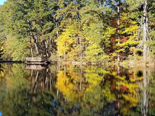 Nature Preserve «Reynolds Nature Preserve», reviews and photos, 5665 Reynolds Rd, Morrow, GA 30260, USA