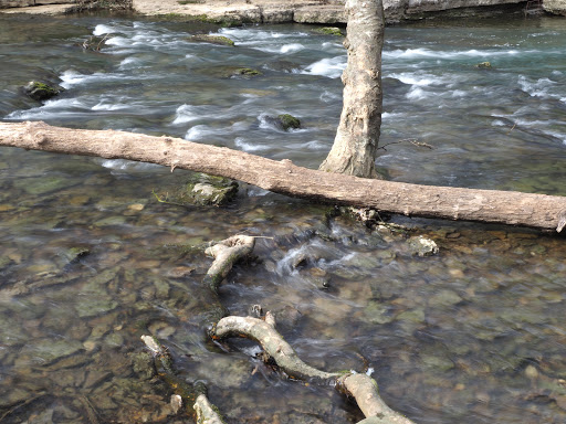 Park «Barfield Crescent Park», reviews and photos, 697 Veterans Pkwy, Murfreesboro, TN 37128, USA