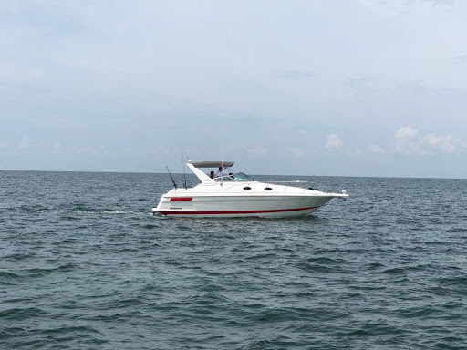 Marine Supply Store «West Marine», reviews and photos, 1279 Wendy Ct, Spring Hill, FL 34607, USA